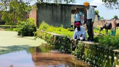 Gambuzian fish left in village ponds by the health department