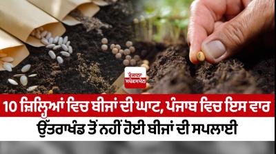 Lack of seeds in 10 districts, this time in Punjab the supply of seeds did not come from Uttarakhand