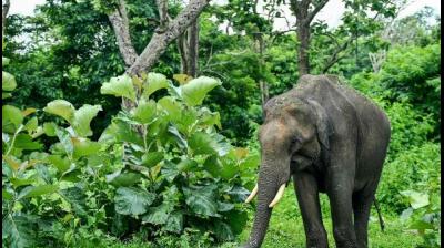 Image for representational purposes only