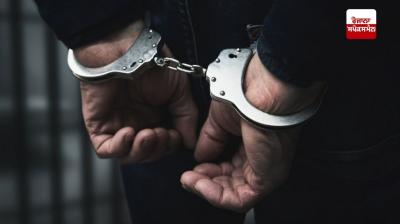 Cities that shine more at night have more crime during the day