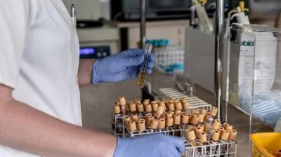 News report claiming that intern in wuhan lab leaked coronavirus by mistake