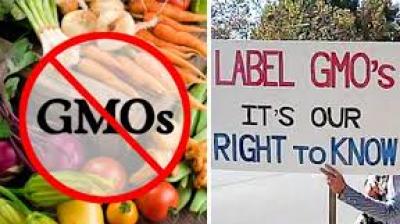 Genetically Modified Food Products