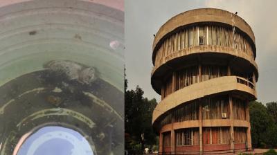 Animal bones found in water tank at Panjab Univeristy’s arts block 1