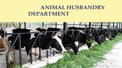 Animal Husbandry Department 
