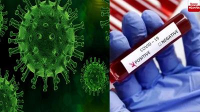 India Corona cases News in punjabi 