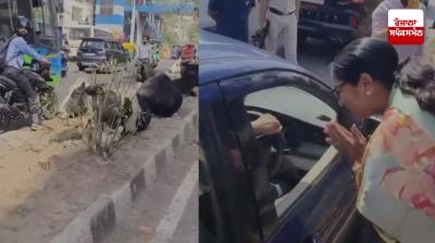 ਦਿੱਲੀ ਦੀ ਮੁੱਖ ਮੰਤਰੀ ਰੇਖਾ ਗੁਪਤਾ ਨੇ ਸੜਕ 'ਤੇ ਗਾਵਾਂ ਨੂੰ ਦੇਖ ਕੇ ਰੋਕਿਆ ਆਪਣਾ ਕਾਫ਼ਲਾ  