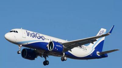 indigo airlines