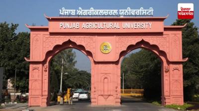 Punjab government bans hybrid and Pusa 144 varieties of paddy