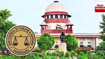 Supreme Court orders BCI to issue notification for Punjab and Haryana Bar Council elections