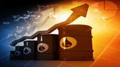 Petrol and Diesel price