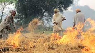 Paddy Waste Fire--File Photo