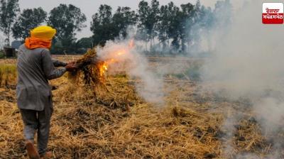 CAQM prepares plan to reduce stubble burning cases