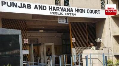 Punjab Haryana high court News in punjabi 
