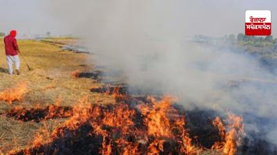 587 incidents of stubble burning took place in Punjab on the same day