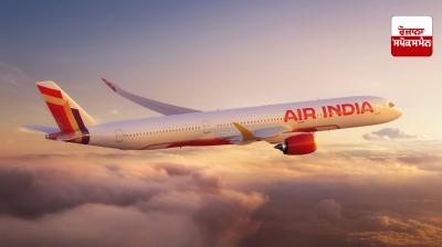 Cartridge found in Air India flight