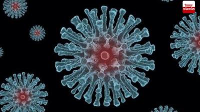 HMPV Two cases in Bangalore News in punjabi 