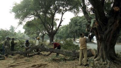 City’s green brigade sees red