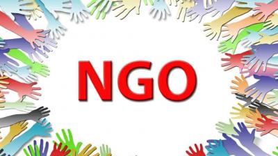 Ban on institutions that do not account for foreign donations