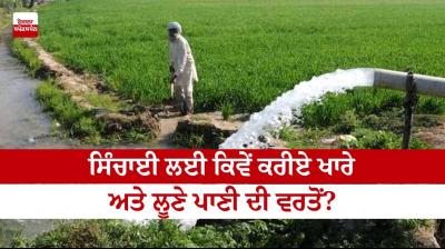 How to use saline and salt water for irrigation?