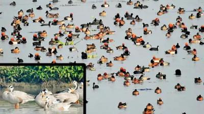 Representational Image