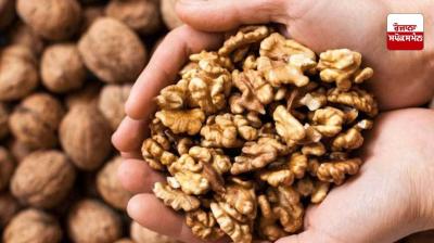 Benefits of eating walnutsਆਉ ਜਾਣਦੇ ਹਾਂ ਅਖ਼ਰੋਟੀ ਖਾਣ ਦੇ ਫ਼ਾਇਦਿਆਂ ਬਾਰੇ: