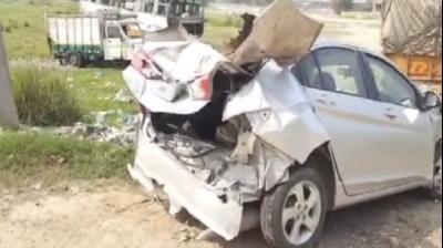 Horrible road accident caused by stray animals