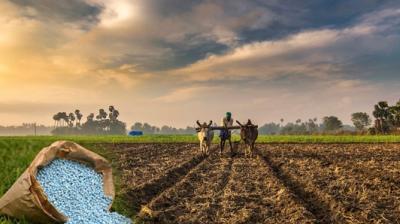 Due to the large scale use of chemical fertilizers, the soil fertility of Punjab decreased