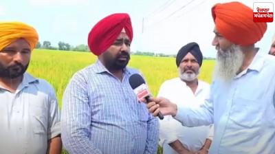 Bona virus reaches Nabha