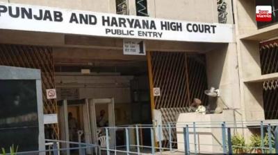 High Court seeks response on mid-day meal outsourcing in Punjab