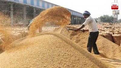 Payment of paddy worth Rs 7472 crore to farmers in the state