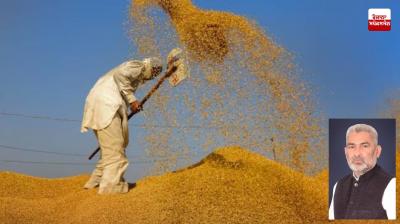 So far more than 11 lakh farmers have received the benefit of MSP: Minister Lal Chand Kataruchak
