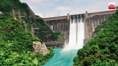 Punjab government stops BBMB's 18 MW solar project in Hoshiarpur