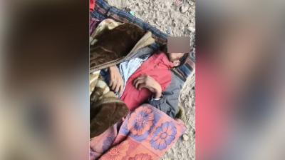 Rats eat sleeping man in Bathinda, painful death