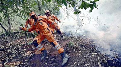 Every year Uttrakhand faces fire problem who to blame?