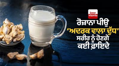 Amazing health benefits of Ginger Milk