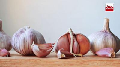 Garlic is beneficial for the body...