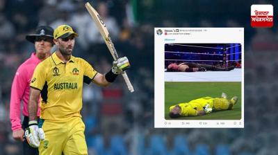 Glenn Maxwell memes