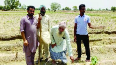 Farmers Showing Cotton Crops