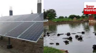 Irrigation with ponds is proving to be extremely beneficial for farmers