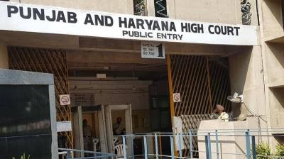 Punjab Haryana High Court