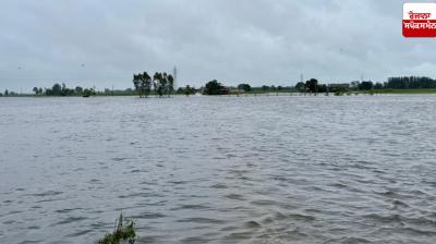 Punjab Flood News in punjabi