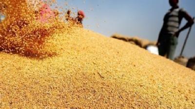 Center increases agent commission rate