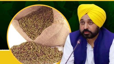 Date of Moong procurement on MSP extended till August 10