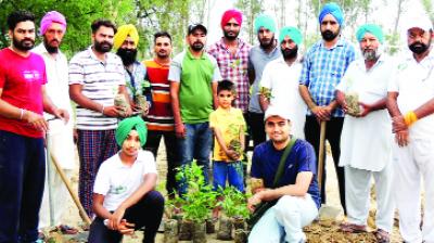Volunteers Planting Shrubs