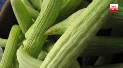 Farmers can earn lakhs of profit by doing proper cultivation