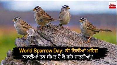 World Sparrow Day 