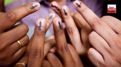 Voting begins for municipal and council elections