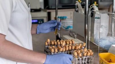 Corona rapid testing in Chandigarh  