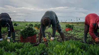 Two Indian citizens arrested in the case of making farm workers slaves in Italy 