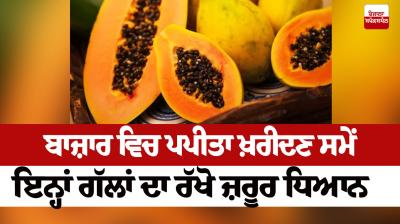 Keep these things in mind while buying papaya in the market